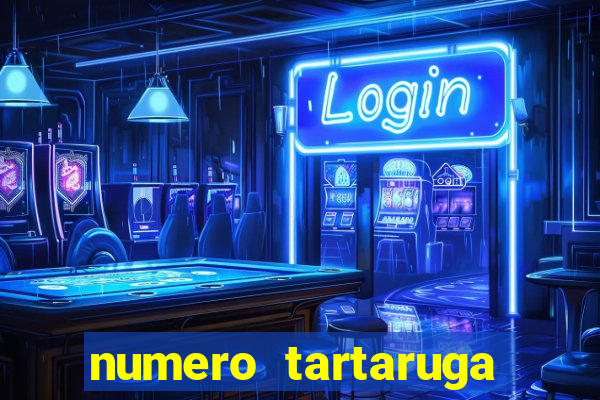 numero tartaruga jogo do bicho